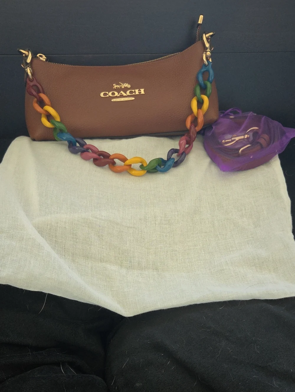 NWOT Coach Charlotte Shoulder Bag in Refined Pebble Leather with Rainbow Chain